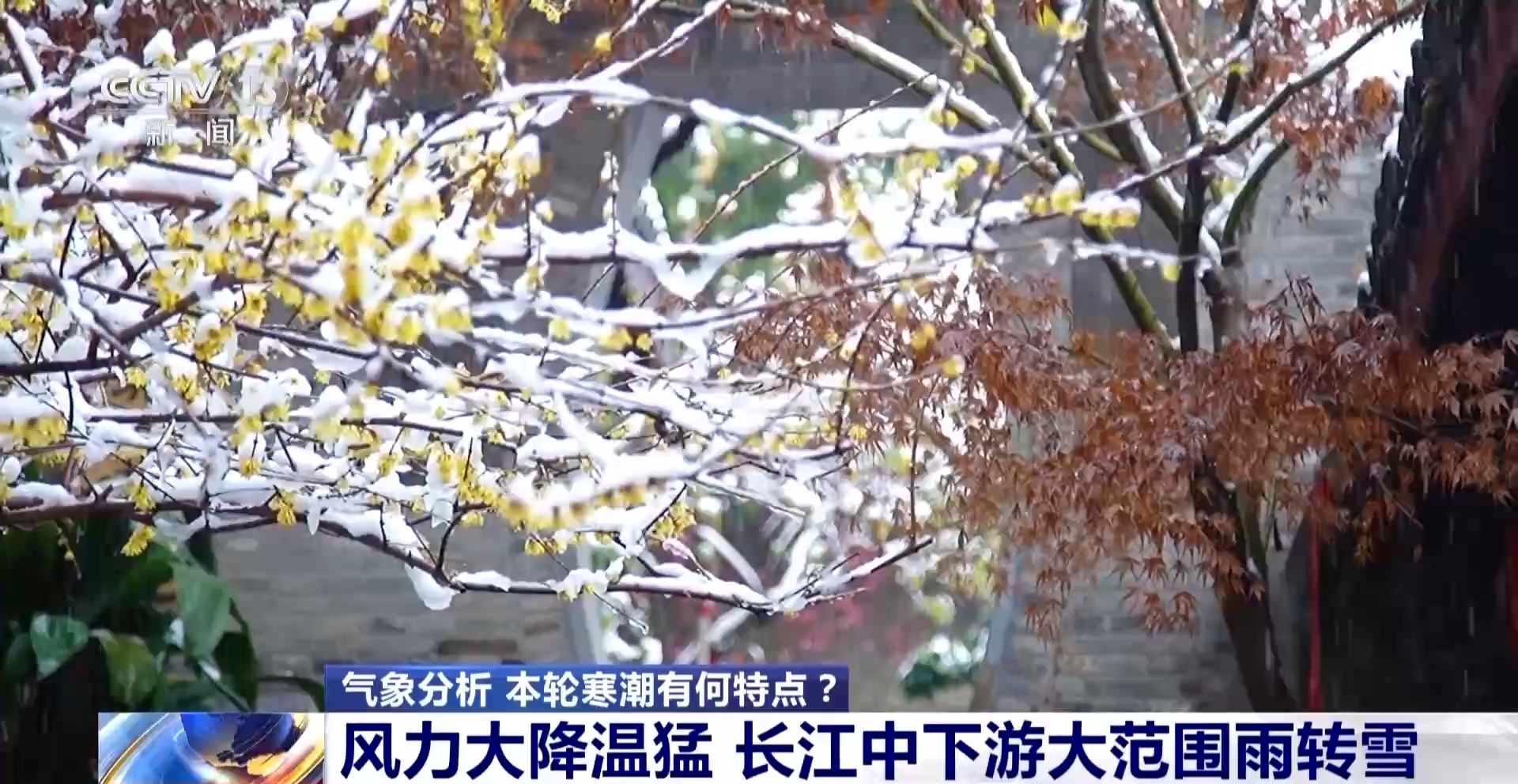 视频丨什么是“烂暴雪” 这轮寒潮有何特点